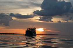 Cruise Delfin in the Amazon