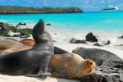 Galapagos Islands South America Travel