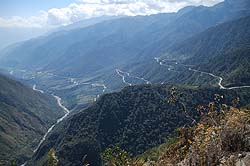 selva del inca