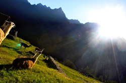 Le lever du soleil à Machupicchu