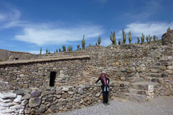 Tour a Los Geiseres del Tatio