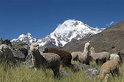 Cusco à Ausangate