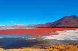 South America Travel Laguna Colorada 