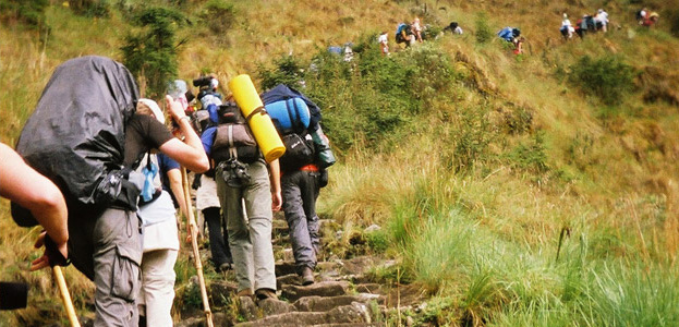 Inca trail