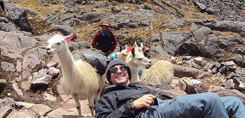 llama lares