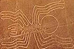 Líneas de Nazca Araña