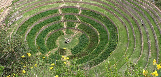 maras moray