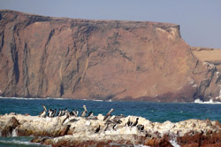 Reserva de paracas