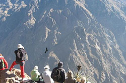 Cañon del Colca y vista de los condores