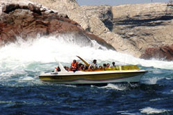 Viaje a las Islas ballestas Visita Pérou