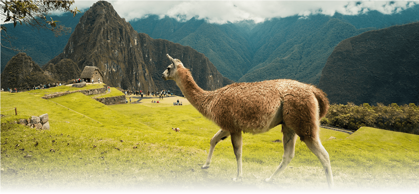 machu-picchu