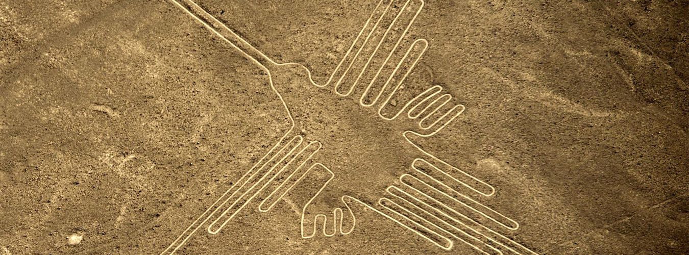 lineas-de-nasca-colibri